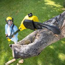 Best Utility Line Clearance  in Seminole, TX