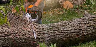Best Artificial Turf Installation  in Seminole, TX